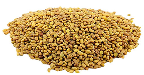 Commonly Cultivated Pure And Dried Alfalfa Seeds Admixture (%): 2%