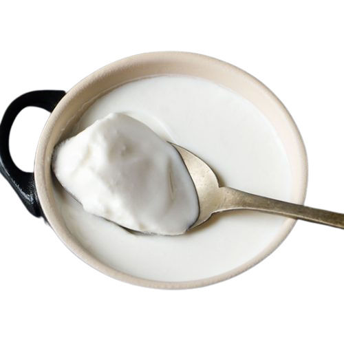 1 Kilogram, 4.3 Gram Fat 11 Gram Protein Healthy And Tasty Fresh Curd