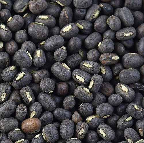 Pure And Natural Commonly Cultivated Dried Whole Urad Saboot Dal