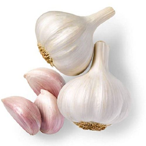 Pure And Natural Round Whole Fresh Raw Garlic For Cooking  Moisture (%): 1.89%