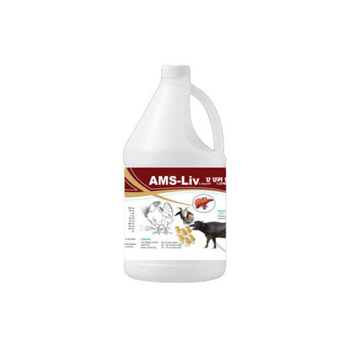 1 Liter Ams-Liv Veterinary Liver Tonic Useful In Digestion Problem Useful In Fatty Liver