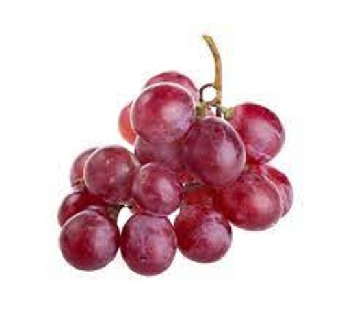 Common Cultivation Fresh Sweet Tasty With High Protein Small Sized Red Grapes