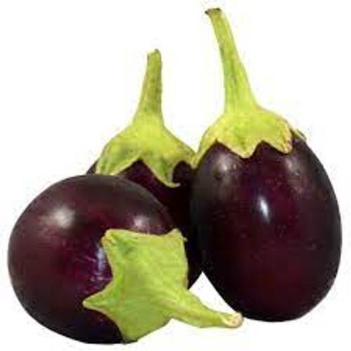 Hybrid Quality Violet Round-Oval Shape Rich In Dietary Fibers Fresh Vegetable Brinjal 