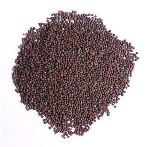 Healthy Nutritional Antibacterial Dried Round Shaped Black Mustard Seeds