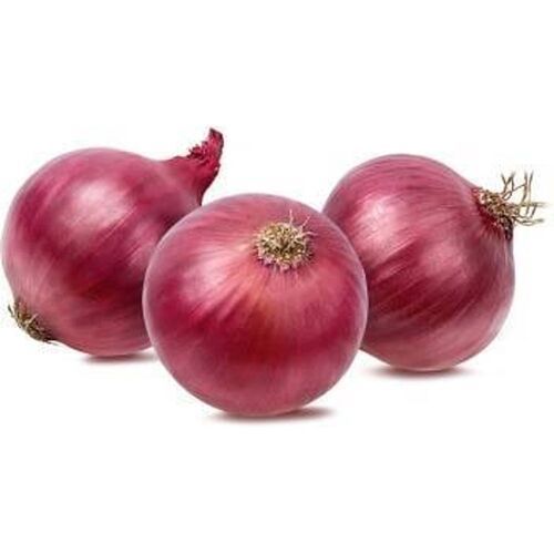 Strong Flavor Low In Fat Naturally Grown Fresh Red Color Onion
