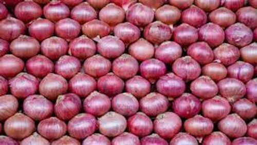 Hygienically Processed Compound Preserved Round Freshest Red Raw Onions