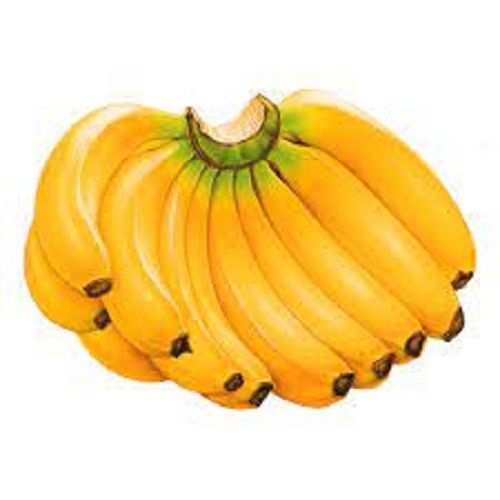 Green Sweet Banana Tropical Fruit Enriched With Potassium Magnesium And Vitamin C