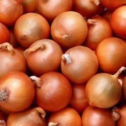 Round Health Benefits Pure Strong Spicy Great Taste Variety Of Dish Fresh Brown Onion 