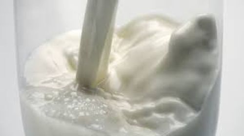 Vitamins Muscles Strengthened High In Protein & Calcium Fresh Cow Milk