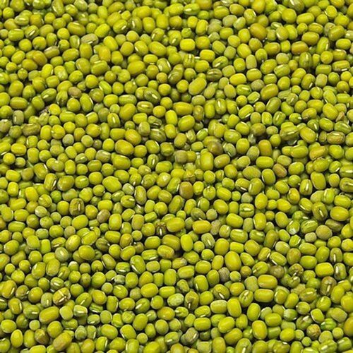 Super Nutritious Gluten Free Cholesterol-Lowering Fiber Fresh Green Moong  Origin: India