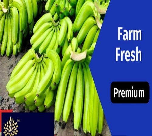 A Grade Export Quality Green And Sweet Farm Fresh Cavandish Banana