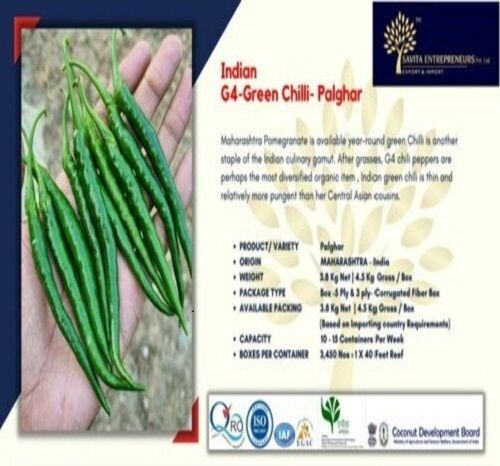 Best Quality Maharashtra Origin Farm Fresh Cooking Grade G4 Green Chilli Capacity: 20 Kg/Hr