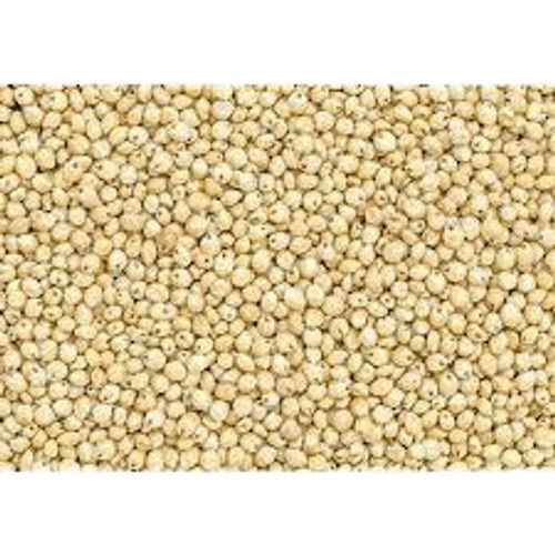 For Healthy Lifestyle Rich In Nutrients And Good Whole Natural Sorghum (Jowar) Grains 