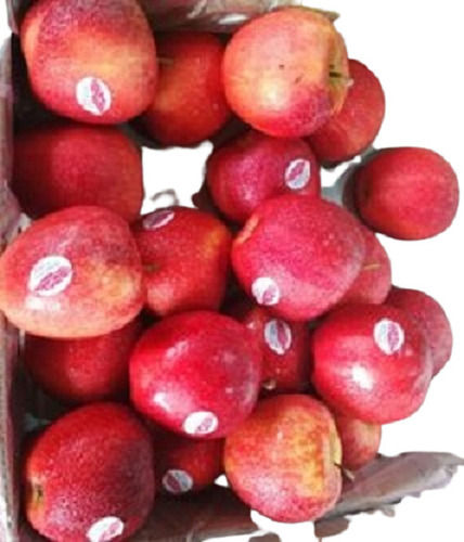 Pure Natural Sweet Fresh Red Apple