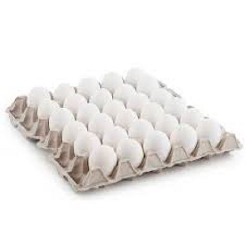 Round Shape Country Chicken White Eggs