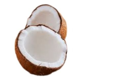 100 Percent Organic And Farm Fresh Common Matured White Coconut