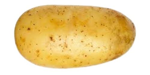 100% Farm Fresh Oval Shape 63% Moisture Naturally Grown Potato Shelf Life: 3 Days