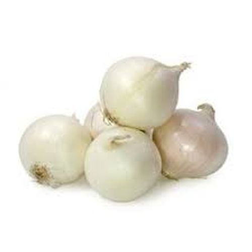 Highest Quality Preserved Components Raw Dried Fresh Round White Onion 