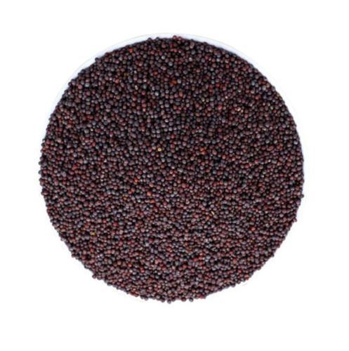 1 Kilogram Food Grade Pure And Natural Common Cultivated Dried Mustard Seed
