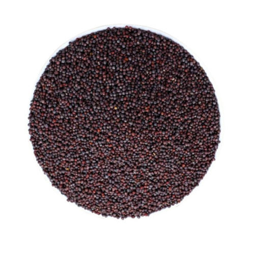 Silver 1 Kilogram Food Grade Pure And Natural Common Cultivated Dried Mustard Seed