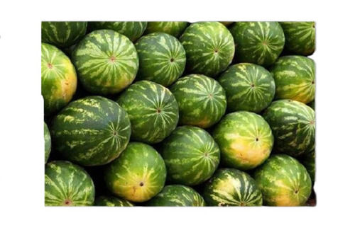 1 Kilogram Sweet Taste Round Pure And Natural Watermelon Fruit