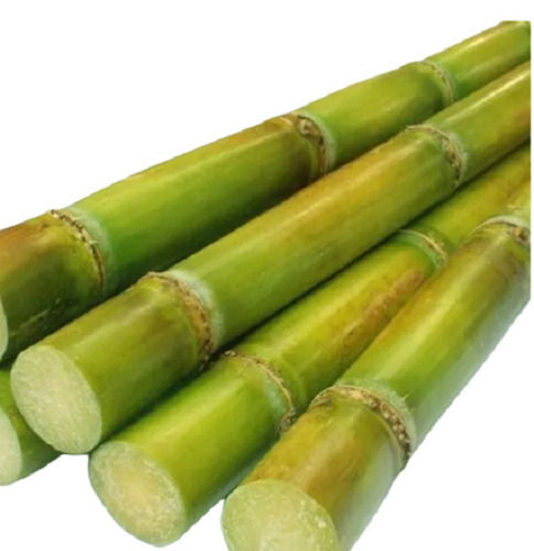 Natural Pure And Sweet Commonly Cultivated Raw Sugarcane