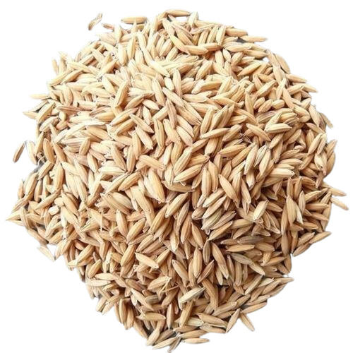 Drilling Method Hybrid Brown Paddy Grains