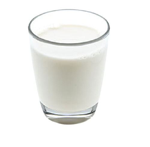 Fresh And Healthy No Added Preservatives Raw Fresh Cow Milk