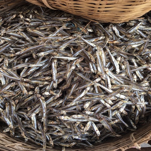Well Sun Dry Fish High Quality