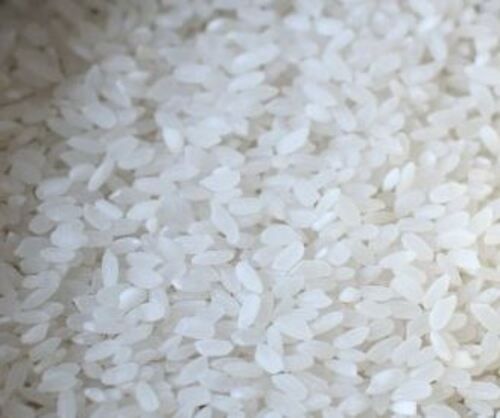 Pure And Dried A Grade Commonly Cultivated Short Grain Rice 