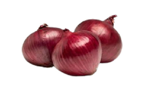 Pure And Fresh A Grade Spherical Shape Whole Raw Onion  Moisture (%): 70%