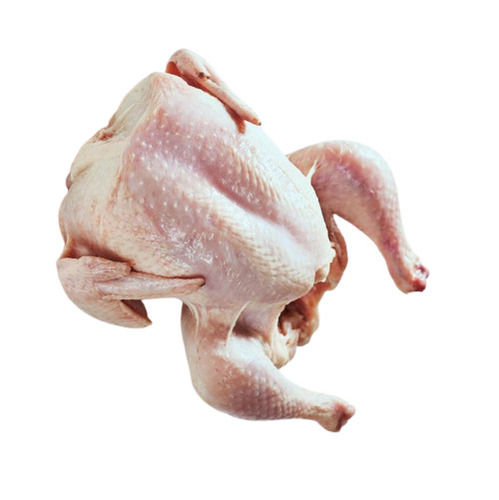 Pink Skinless And Non Boneless Protein Rich Frozen Fresh Chicken