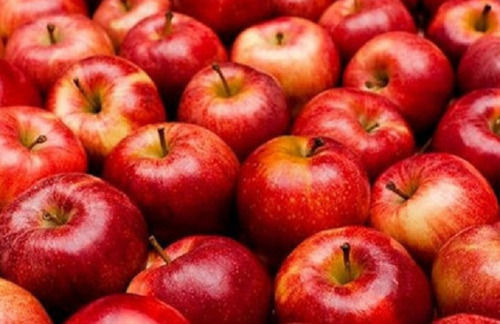 Commonly Cultivated A Grade Natural Farm Fresh Sweet Red Apple