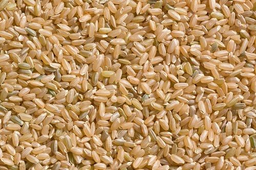 100 Percent Pure And Organic Dried A Grade Short Grain Brown Rice