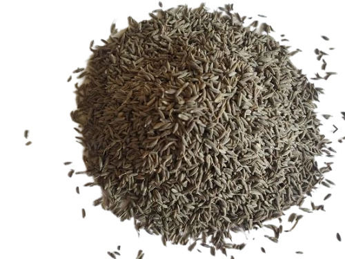 Pure And Natural Organically Commonly Cultivated Dried Raw Cumin Seed