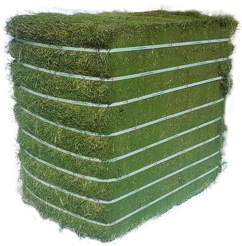 Alfalfa Hay For Animal Feed 100% Herbal