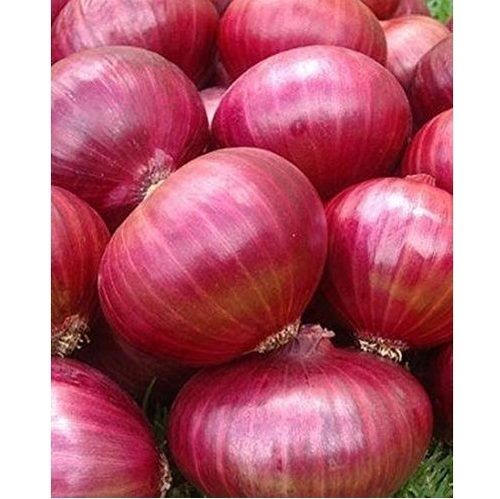 Natural Good Source Of Vitamin And Minerals Nutrients Antioxidant Red Onion 