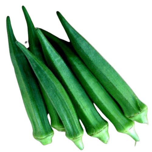 A Grade Indian Origin 99.9 Percent Purity Fresh Green Lady Finger