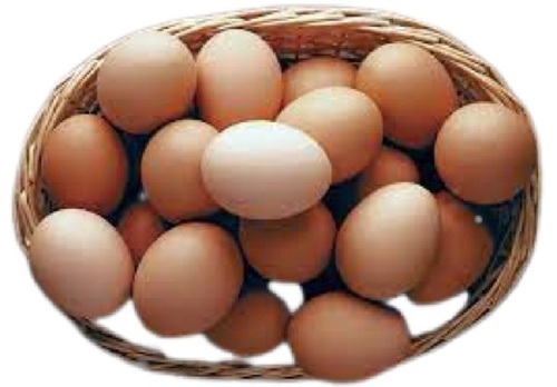 Healthy Fresh Poultry Brown Egg