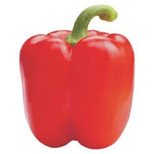 Red Capsicum Moisture (%): 80%