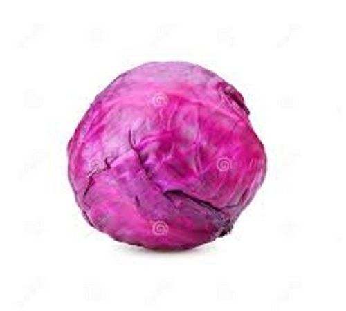 A Grade Healthy Round Shape Red Cabbage Moisture (%): 80%