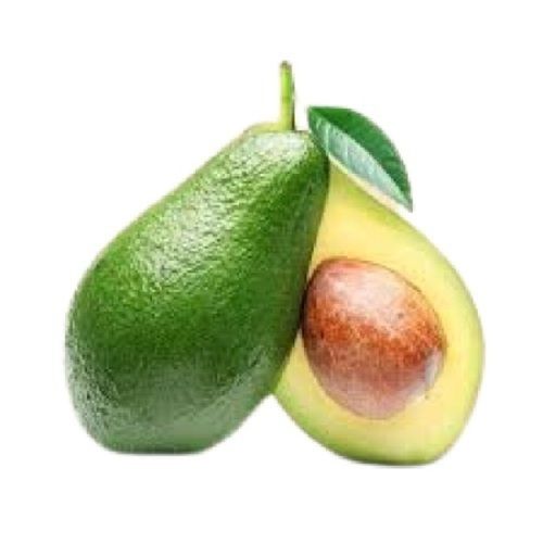 Common Green Avocado