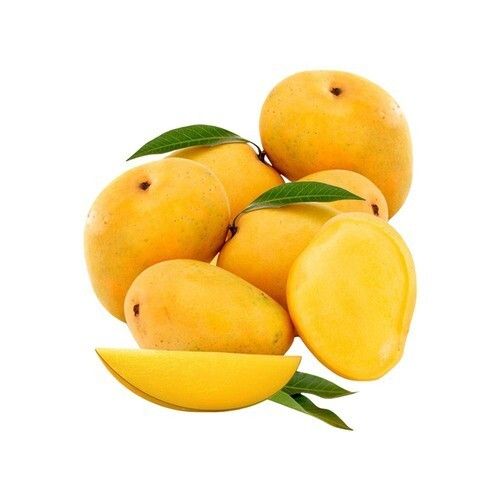 Indian Origin Naturally Grown Oval Shape Sweet And Tasty Alphonso Mango