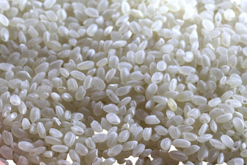 Pure And Dried Common Cultivated Solid Short Grain Rice 