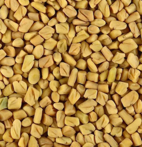 Pure And Dried Edible Hybrid Organic Fenugreek Seeds
