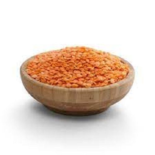 100% Pure Indian Origin Whole Dried Masoor Dal For Cooking Use