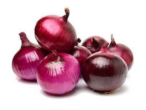 Pure And Natural Bulb Shape Raw Fresh Red Onion Moisture (%): 75%