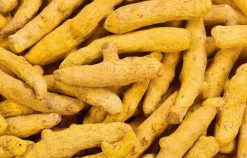 Anti-inflammatory High Curcumin Whole Raw Yellow Bitter Dried Turmeric Finger Curcuma Longa