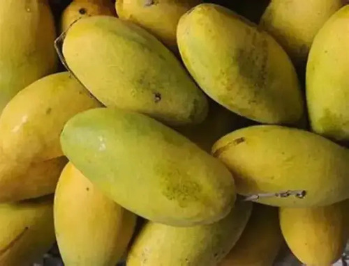 शुद्ध और ताजा आम तौर पर उगाया जाने वाला साबुत गैर-ग्लूटिनस मीठा आम