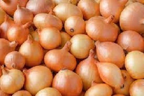 A Grade Indian Origin Naturally Grown Farm Fresh Raw Brown Onions